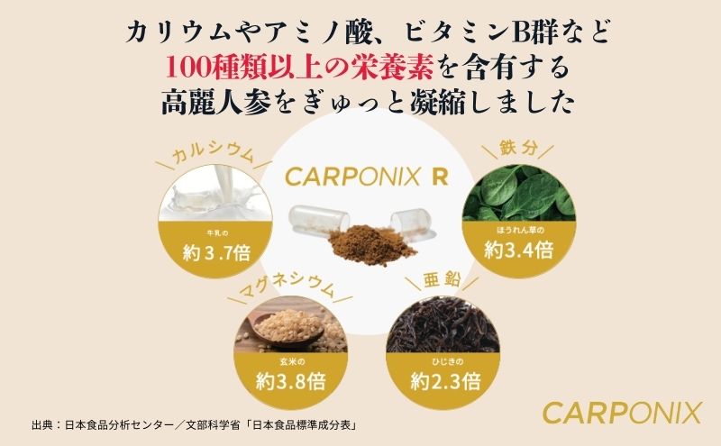 黒高麗人参「CARPONIX」　＜ご自宅用エコパック＞ 60粒入り×2袋　＜個包装＞ 4粒入り×30袋 サプリメント サプリ 黒高麗人参 カプセル ジンセノサイド 千葉市