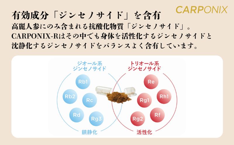 黒高麗人参「CARPONIX」　＜ご自宅用エコパック＞ 60粒入り×2袋　＜個包装＞ 4粒入り×30袋 サプリメント サプリ 黒高麗人参 カプセル ジンセノサイド 千葉市