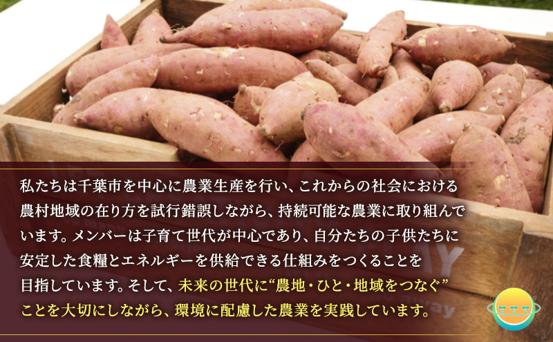 【先行受付】サツマイモ（紅はるか）約5kg 千葉市産／土付き無選別／未来につなぐ農業「つなぐファーム」／2025年12月上旬頃から順次発送