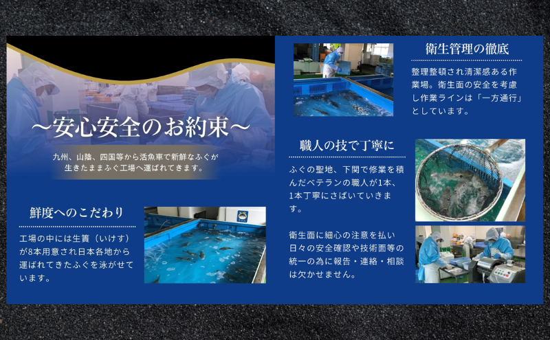 蝗ス逕」 螟ゥ辟カ縺オ縺舌ョ縺九i謠壹£ 1kg 縺九i縺ゅ£ 螟ゥ辟カ縺オ縺 豐ウ雎 縺雁叙繧雁ッ縺 繧ー繝ォ繝。 諠」闖 蜀キ蜃