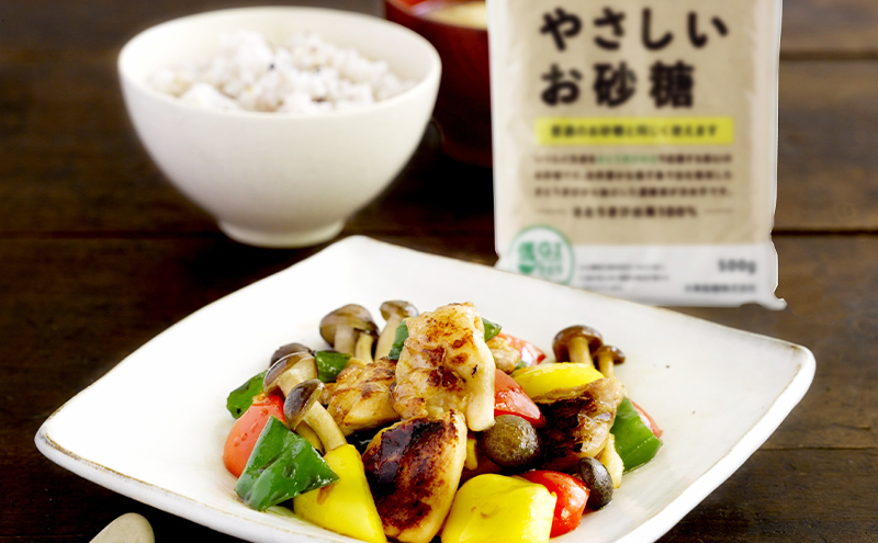 砂糖 からだにやさしいお砂糖 500g×10個 さとうきび 共同研究 低GI 飲み物 料理 調味料 お菓子作り お菓子 千葉市 千葉県