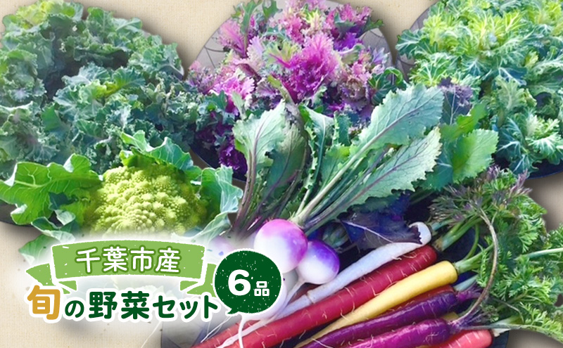 旬の野菜セット 6品 野菜 野菜セット 野菜詰め合わせ 詰め合わせ やさい 千葉市 千葉県