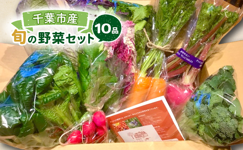 旬の野菜セット 10品 野菜 野菜セット 野菜詰め合わせ 詰め合わせ やさい 千葉市 千葉県