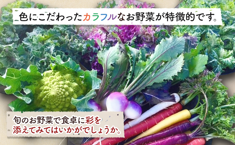 旬の野菜セット6品 ブルーベリー酢 セット 野菜 野菜セット 野菜詰め合わせ 詰め合わせ やさい 千葉市 千葉県
