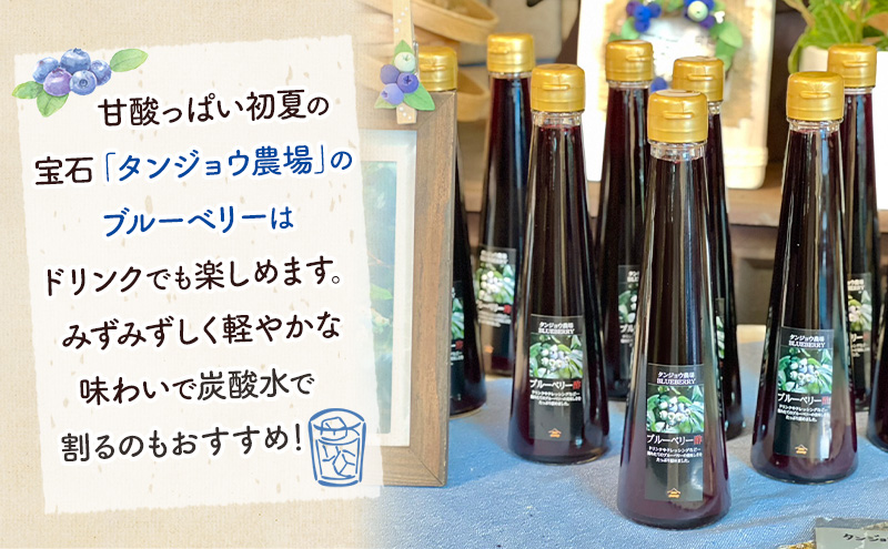 旬の野菜セット6品 ブルーベリー酢 セット 野菜 野菜セット 野菜詰め合わせ 詰め合わせ やさい 千葉市 千葉県