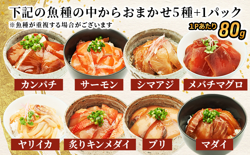 å³éžïŒçš®ã挬ã䞌ïŒPå
¥ããæ£è æµ·é®®äžŒ 挬䞌 ãã〠ã·ãã¢ãž ã«ã³ãã ã㪠ãµãŒã¢ã³ ã€ãªã€ã« çããã³ã¡ã〠ã¡ãããã°ã æ°é®® é£ã¹æ¯ã¹ åèåž åèç