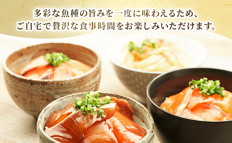 厳選５種　漬け丼６P入り　惣菜 海鮮丼 漬丼 マダイ シマアジ カンパチ ブリ サーモン ヤリイカ 炙りキンメダイ メバチマグロ 新鮮 食べ比べ 千葉市 千葉県