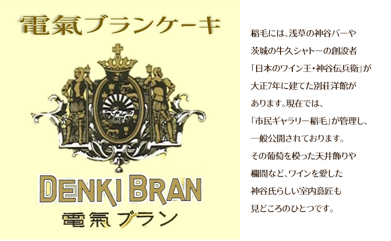 電氣ブランケーキ6個詰め合わせ お菓子 スイーツ 焼き菓子 焼菓子 ブランケーキ 電気ブラン オリジナル おやつ 詰合せ 個包装 千葉市 千葉県