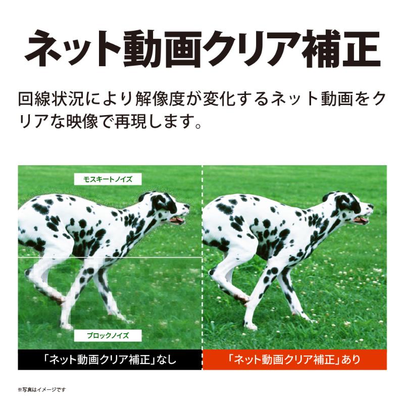 シャープ SHARP 【AQUOS(アクオス) 50V型 4K 液晶テレビ  4T-C50GL1】