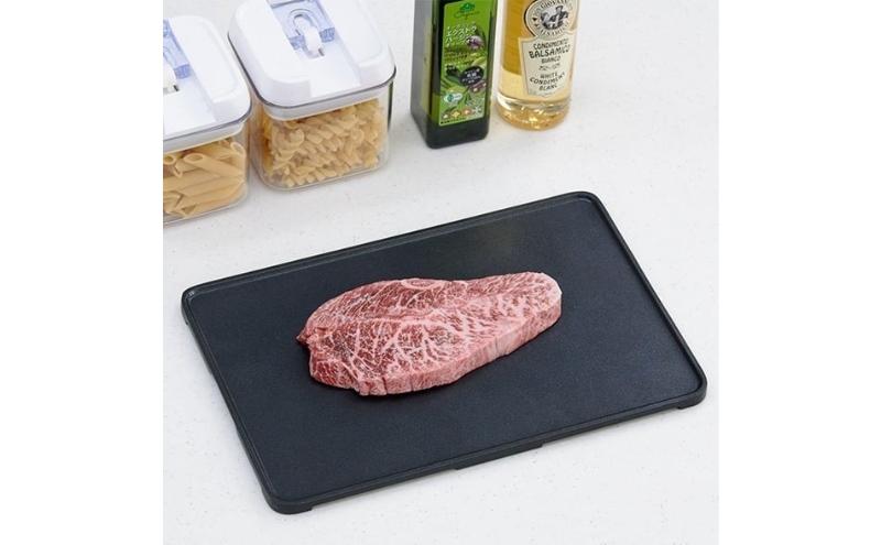 ホームコーディ　解凍プレート 20×15cm イオンリテール 日用品