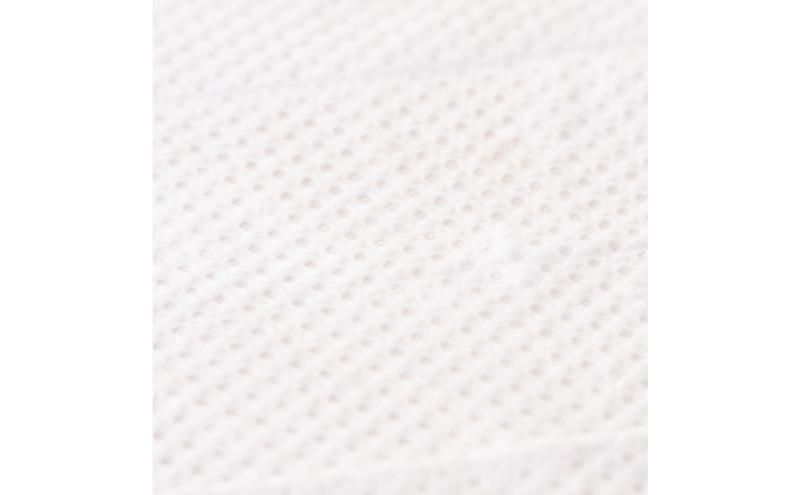 ホームコーディ　流せるお掃除シート　トイレ用　5個入 イオンリテール 日用品