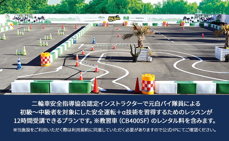 ããã¹ã«ãã€ã¯ ãã¡ãŒã ãïŒÎ±æè¡ç¿åŸãã©ã³ããã£ããã³ãŒã¹ïŒ12æé) ãã±ãã ã¬ãã¹ã³ ãã€ã¯ äºèŒªè» å®å
šæå° ïŒÎ±æè¡ ã€ã³ã¹ãã©ã¯ã¿ãŒä»ã å
çœãã€éå¡ åçŽè
äžçŽè» åèåž åèç