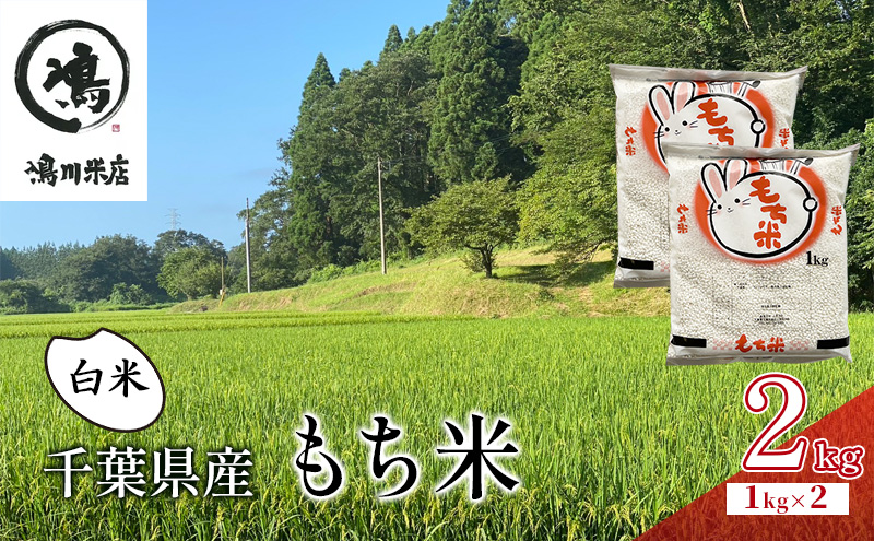 新米　千葉県産　もち米　白米　２kg　令和7年  マンゲツモチ　お米 米 コメ こめ つやつや もちもち お弁当 おにぎり お取り寄せ 千葉市 千葉県