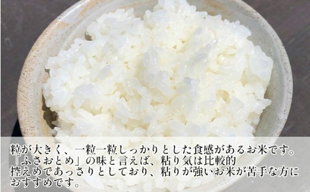 のり　ふさおとめセットC　　【ふさおとめ 2kg無洗米 ・味のりゆず、わさび】　お米 米 こめ コメ 海苔 セット コラボ商品 千葉県 千葉市