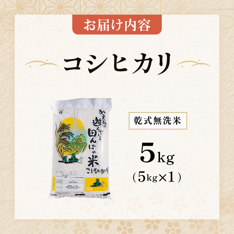 令和7年 無洗米 コシヒカリ 5kg 令和7年産 米 お米 精米 白米 単一原料米 ブランド米 早場米 こめ コメ おこめ ご飯 ごはん 5キロ 送料無料 お米マイスター 選定 千葉産 千葉 千葉県 千葉市