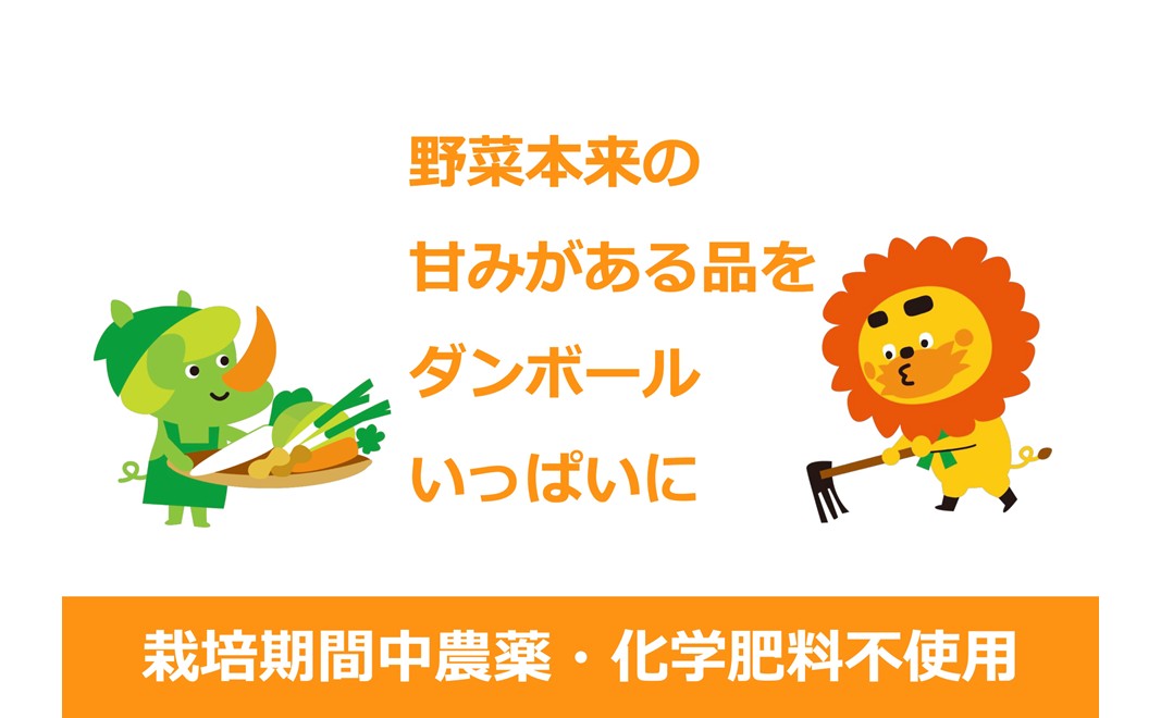 野菜 定期便 3ヶ月 2～4名様向け 野菜6種 セット＋加工品 旬の野菜 生野菜 やさい 新鮮 鮮度 産地直送 詰め合わせ 冷蔵 千葉 定期 お楽しみ 3回 