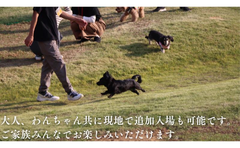 稲毛海浜公園ドッグラン回数券（3回分/15キロ以下対象） チケット 利用券 回数券 ペット 犬 ドッグラン DOG　PARK INAGE 屋外 千葉県 千葉市 稲毛