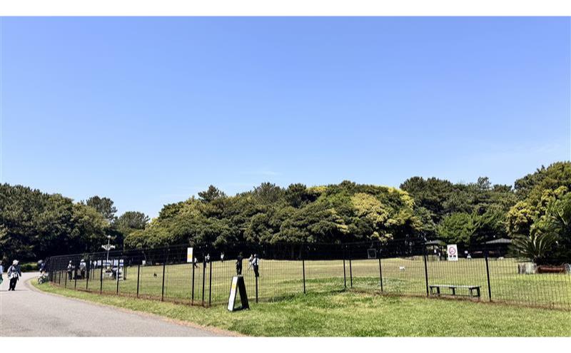 稲毛海浜公園ドッグラン回数券（3回分/15キロ以下対象） チケット 利用券 回数券 ペット 犬 ドッグラン DOG　PARK INAGE 屋外 千葉県 千葉市 稲毛