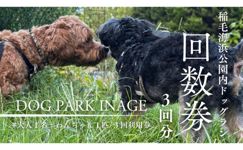 稲毛海浜公園ドッグラン回数券（3回分/15キロ以下対象） チケット 利用券 回数券 ペット 犬 ドッグラン DOG　PARK INAGE 屋外 千葉県 千葉市 稲毛