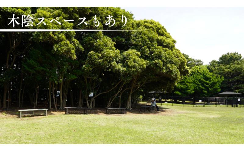 稲毛海浜公園ドッグラン回数券（3回分/15キロ以下対象） チケット 利用券 回数券 ペット 犬 ドッグラン DOG　PARK INAGE 屋外 千葉県 千葉市 稲毛