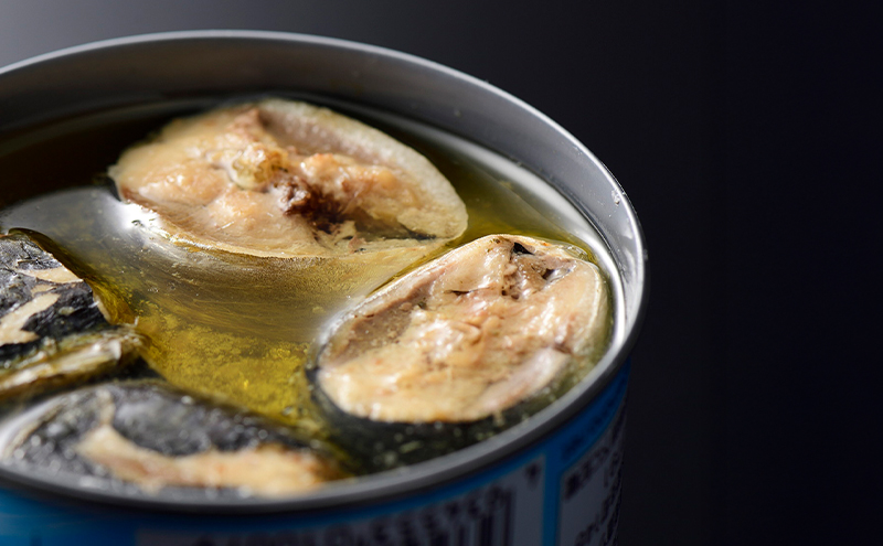 銚子産　とろイワシ水煮　8缶　缶詰 イワシ いわし 水煮 常温保存 防災 備蓄 非常食 保存食 国産 キャンプ 千葉県 千葉市