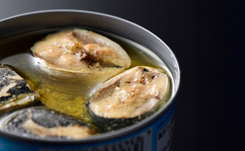 銚子産　とろイワシ水煮　24缶　缶詰 イワシ いわし 水煮 常温保存 防災 備蓄 非常食 保存食 国産 キャンプ 千葉県 千葉市