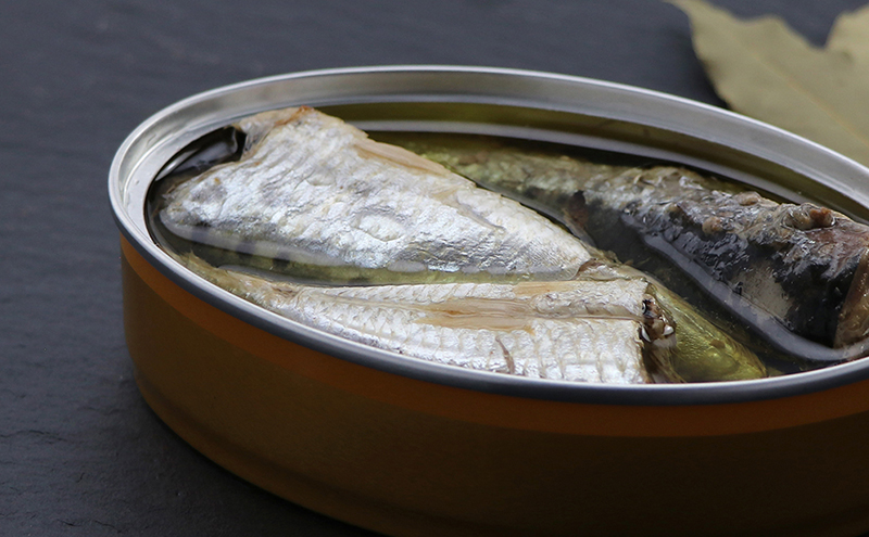 銚子産　オイルサーディン　10缶　缶詰 イワシ いわし 常温保存 防災 備蓄 非常食 保存食 国産 キャンプ パスタ カナッペ サラダ 炒め物 千葉県 千葉市