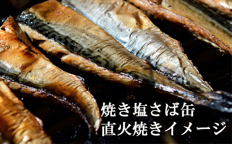 国産 焼き塩さば 10缶 缶詰 さば サバ 鯖 常温保存 防災 備蓄 非常食 保存食 国産 おかず お弁当 おにぎり お茶漬け 千葉県 千葉市