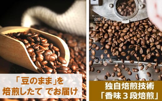 定期便6回 世界一周 高級珈琲（豆のまま） 銀河コーヒー　【12203-0106】