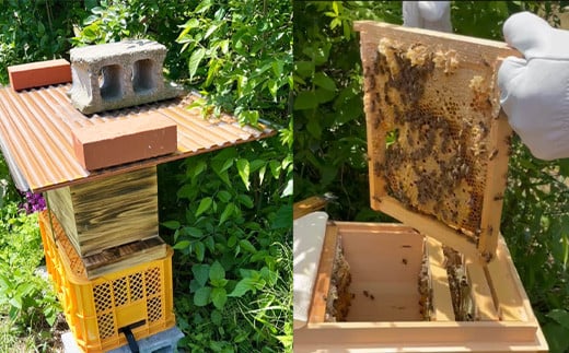 æ¥æ¬ããããã®èèã100gãã12203-0269ã