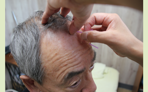 ããããã¹ãŒãHAL®ãã€ããªããã10ååãã12203-0115ã