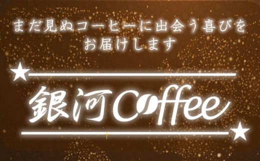 世界の高級コーヒー（粉 中挽）100g×4種 銀河コーヒー　【12203-0101】
