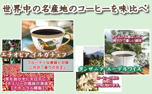 定期便6回 世界一周 高級珈琲（ドリップ式） 銀河コーヒー　【12203-0108】