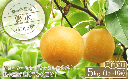 市川の梨　ご自宅用　豊水【5kg】小玉（15〜18玉）　【12203-0323】