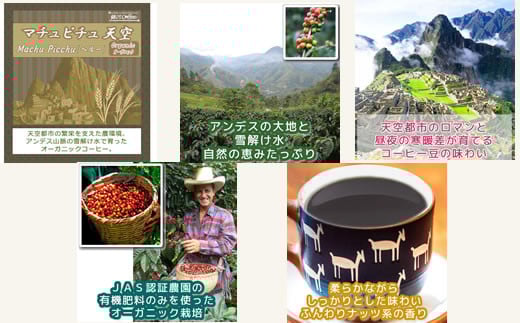 世界の高級コーヒー（粉 中挽）100g×4種 銀河コーヒー　【12203-0101】