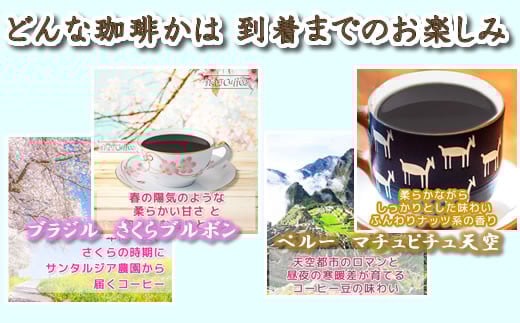 å®æäŸ¿6å äžçäžåš é«çŽçç²ïŒç² äžæœãïŒ éæ²³ã³ãŒããŒãã12203-0107ã