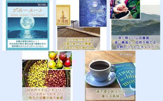 世界の高級コーヒー（粉 中挽）100g×4種 銀河コーヒー　【12203-0101】