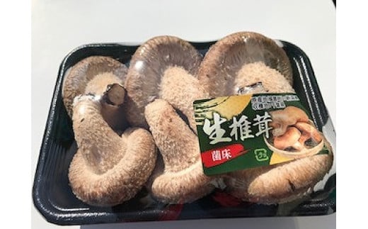 【茎まで美味しい】一休しいたけ　バラエティーパック　【12203-0163】