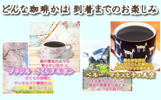 定期便6回 世界一周 高級珈琲（ドリップ式） 銀河コーヒー　【12203-0108】
