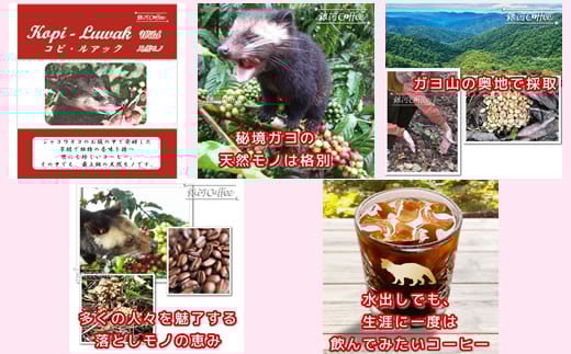 水出し珈琲セット（お手軽版） 生涯で飲みたい 世界３大コーヒー80g×3種 銀河コーヒー ふるさと納税 市川市 返礼品　【12203-0127】