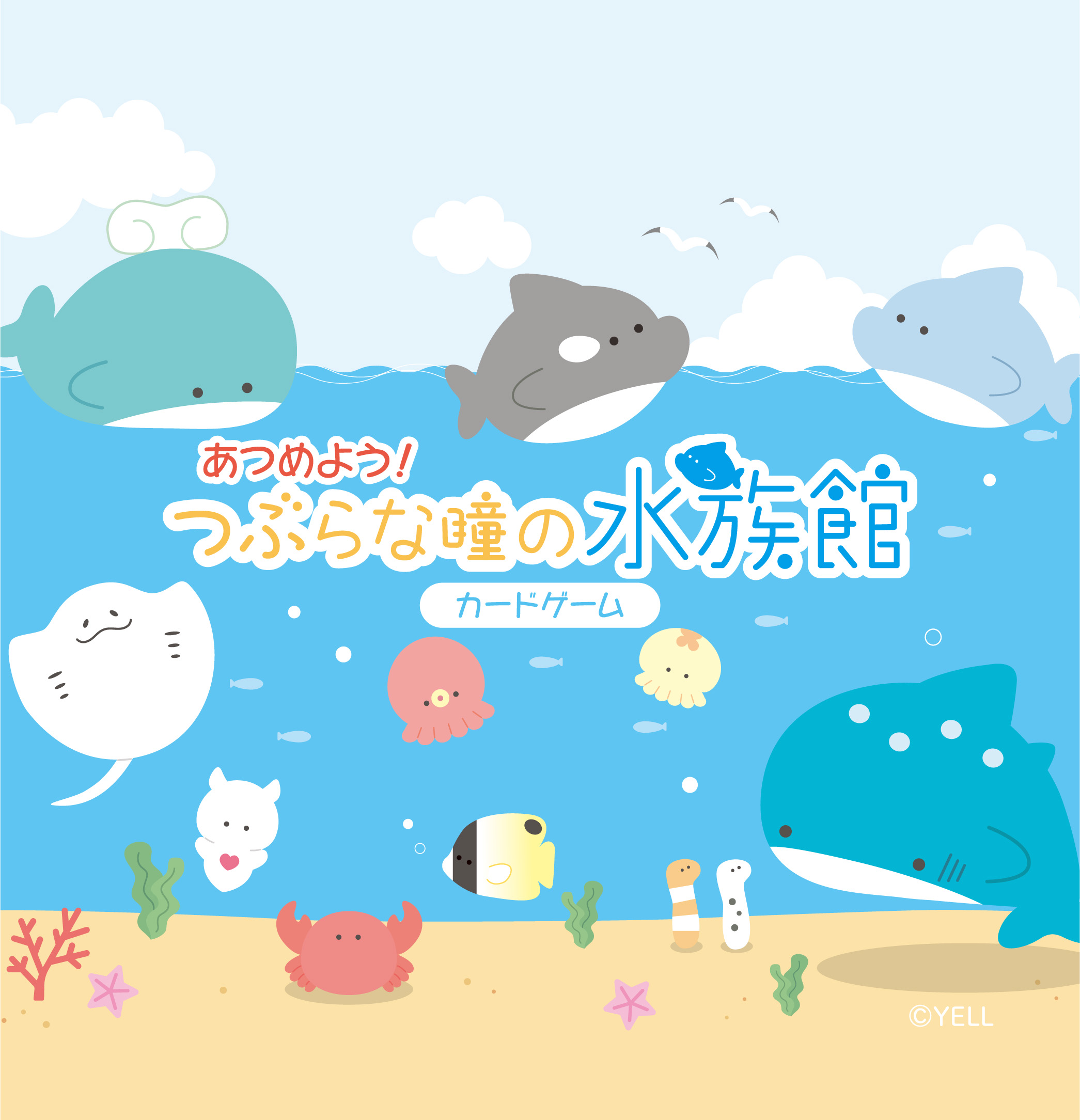 あつめよう！つぶらな瞳の水族館カードゲーム　【12203-0416】