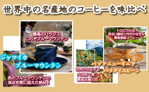 定期便6回 世界一周 高級珈琲（ドリップ式） 銀河コーヒー　【12203-0108】