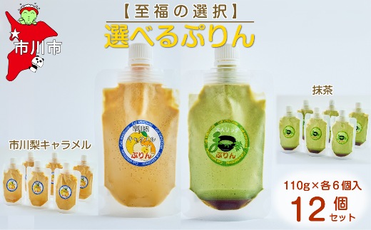 【至福の選択】選べる12個セット（市川梨キャラメル×抹茶）ぷりん　【12203-0348】