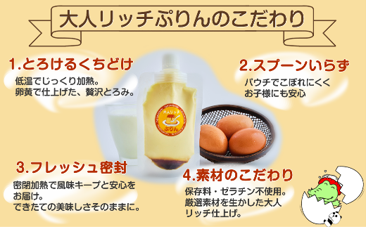 【至福の選択】選べる12個セット（大人リッチ×抹茶）ぷりん　【12203-0350】