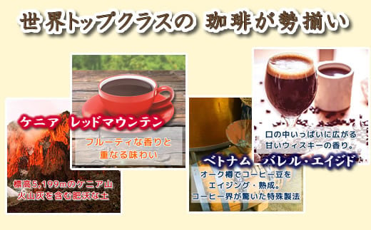 定期便6回 世界一周 高級珈琲（ドリップ式） 銀河コーヒー　【12203-0108】