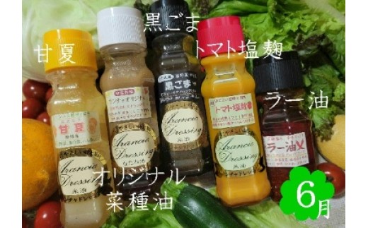【定期便】季節限定セット米油ドレッシング　【12203-0408】