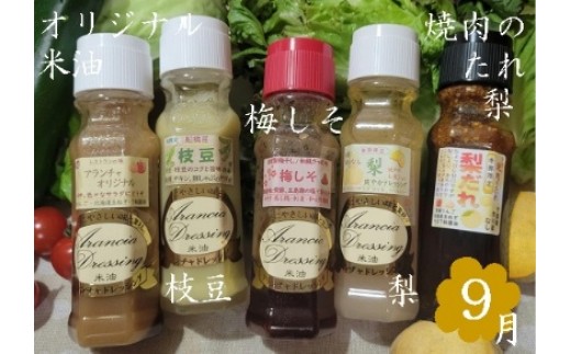 【定期便】季節限定セット米油ドレッシング　【12203-0408】