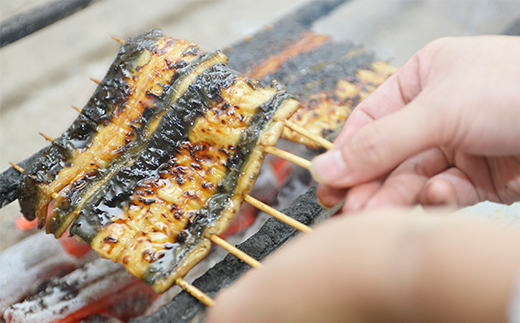 【6回定期便】うなぎ特上蒲焼1串(130g前後)（2か月に1回のお届け）【老舗 ギフト 冷凍  うなぎ 鰻 ウナギ かばやき 串  タレ 山椒 千葉県 市川市】【12203-0315】