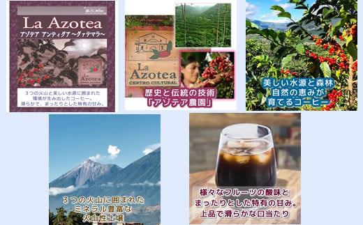 水出し珈琲セット（お手軽版） 世界の高級コーヒー80g×4種 銀河コーヒー ふるさと納税 市川市 返礼品　【12203-0126】