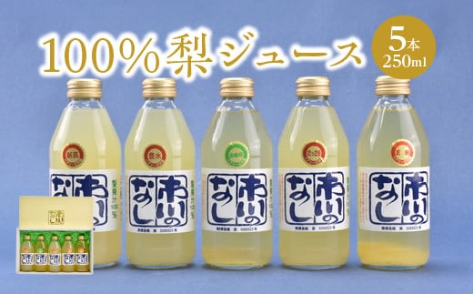 果汁１００％梨ジュース　250ml×5本セット　【12203-0050】